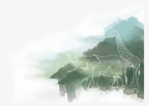 Sketch