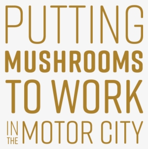 Tmf Putting Mushrooms To Work Yellow Xl - Orange