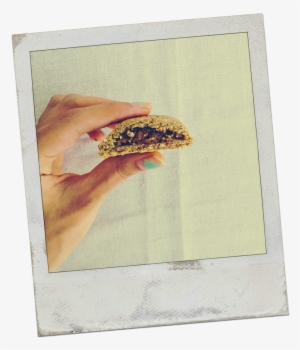 Pingbacks On My Raw Fig Rolls - Craft