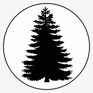 Pix For Evergreen Tree Outline - Pine Tree Silhouette Free