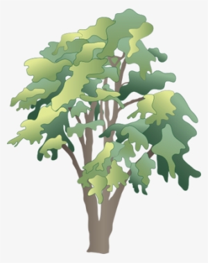 Ian Symbol Robinia Pseudoacacia - Rainforest Tree Vector Png