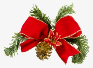 Golden Ribbon Christmas Bow Isolated - Christmas Ribbon Real