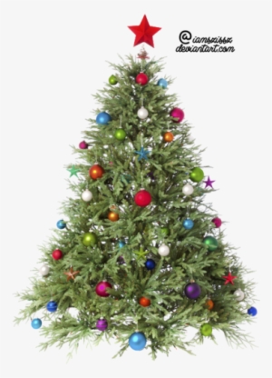 Arboles Navidad Png13