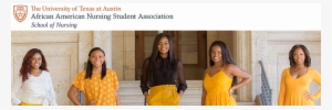 African American Nursing Students Association The University - Student
