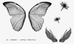 Http - //i41 - Tinypic - Com/2mg4hgn - Asas Http - - Photoscape