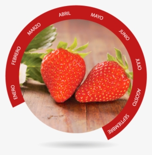 Fresa - Berry