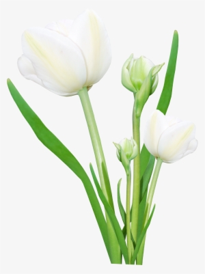 Bouquet Flowers Png - Flowers Png