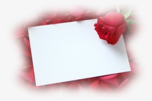 Carte - Never Say Never - Cd