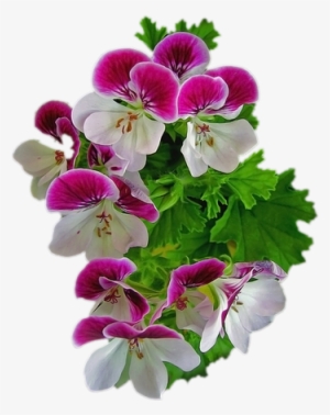 Pink Violet Flower Png Clipart - Flowers Cliparts For Photoshop