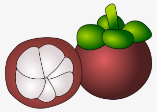 Purple Mangosteen Thai Cuisine Cartoon Food Drawing - Mangosteen Clipart