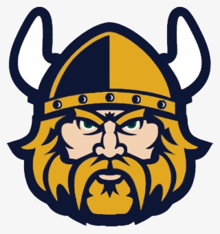 Viking Face Close Up
