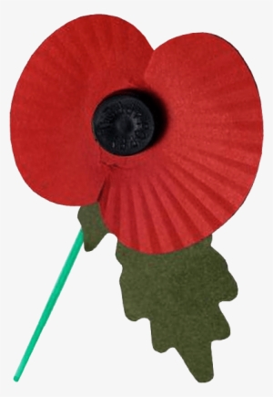 Remembrance Day Poppy Transparent Image - Remembrance Poppy Transparent Background