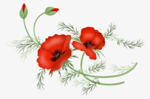 Vector Poppy Png - Library