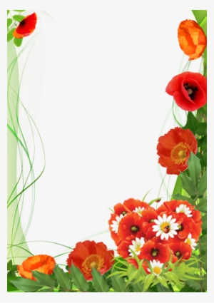 Poppies Color Of Love Transparent Poppies Frame Png X PNG Download PNGkit