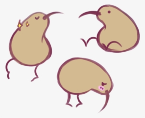 Kiwi Bird Art - Art
