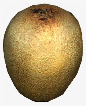 Kiwi - Wiki
