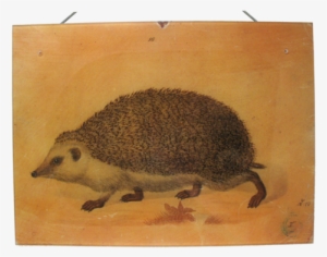 John Derian Wall Haning Decoupage Plaque - Art