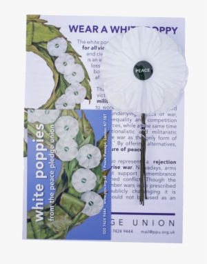 White Poppies 5 Pack - White Poppy