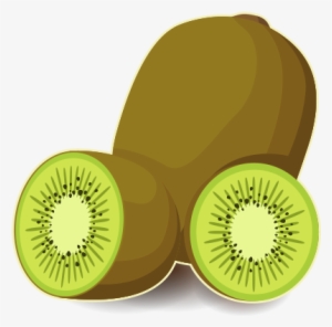 Kiwi Fruit Free Vector
