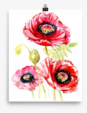 Bright And Floral Poppy Watercolour Matte Poster - Watercolor Painting