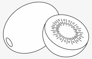 Kiwi - Kiwi Clipart Black And White