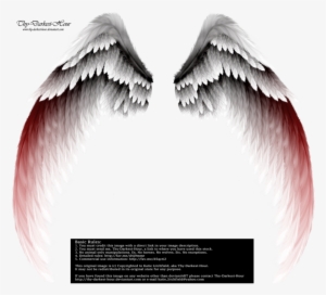 Arch Wings Red Tinge - Transparent Background Wings Png