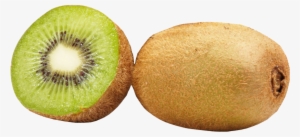 Kiwi Transparent File - Primagusto Green Kiwi 1 Piece