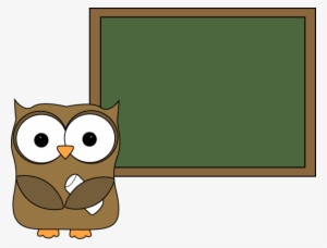 Owl - Funky Owl Shower Curtain