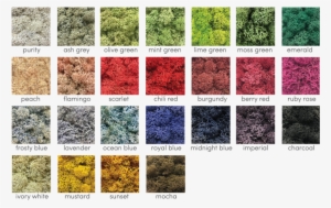 With Plenty Of Colours Available, Make Your Interior - Moontea Eyeshadow