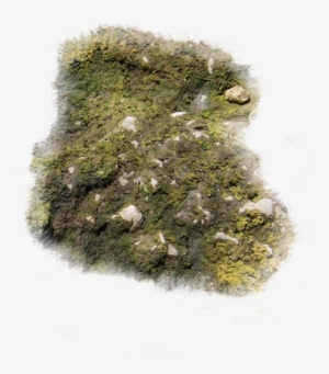 Mapping Software Forums Floor And Rocks - Dundjinni Moss