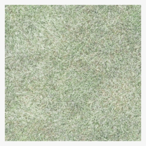 Grass Detail - Textur Gras Schwarz Weiß