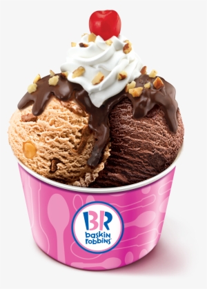 Baskin Robbins Ice Cream Sandwiches, Mint Chocolate