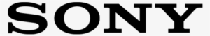 The Big Studio Movie Licence Ensures Legal Coverage - Sony Logo