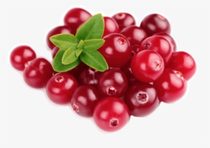Cranberries - Organic Traditions Organic Cranberry Supreme With Probiotics