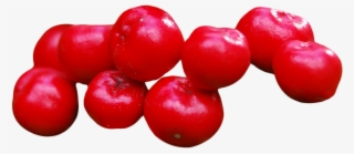 Free Png Cranberry Png Images Transparent - Cranberry Png