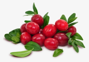 Ocean Spray Cranberries - Transparent Cranberries