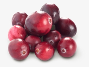 Cranberry - Fruit Cranberries