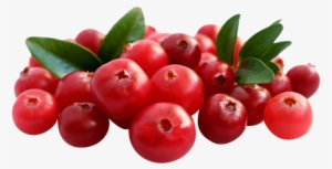 1/2 Kg Chopped Cranberries - Cranberry