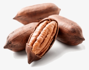 The Industry's - Pecan