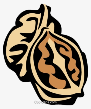 Walnuts - Walnuts Clip Art Png