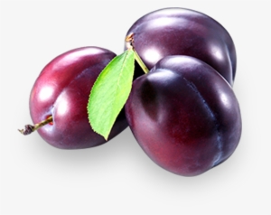 Walnuts - Liquid Lipshine By Nyc New York Color