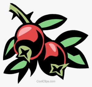 Cranberry Royalty Free Vector Clip Art Illustration - Free Cranberry Clipart