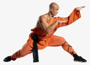 Download - Shaolin Kung Fu