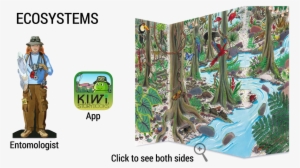 Jr Ecosystems - Adelaide University