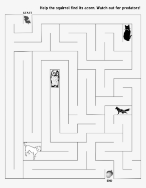Squirrel Maze 008 - Clip Art