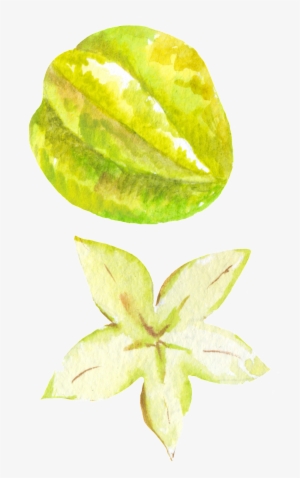 Hand Painted Carambola Png Transparent - Portable Network Graphics