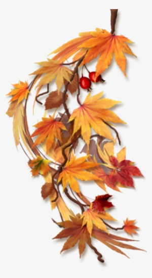 Feuilles D Automne Png