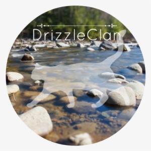 Summer Rocks Trees River - Reflection