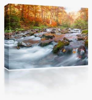 Flowing Mountain Stream - Rapids