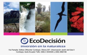 Ecodecisión - Garzón, Uruguay